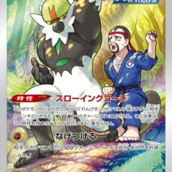 Carte Pokemon Quartermac 203/184 CHR s8b