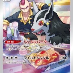 Carte Pokemon Grahyèna 072/067 CHR s9a